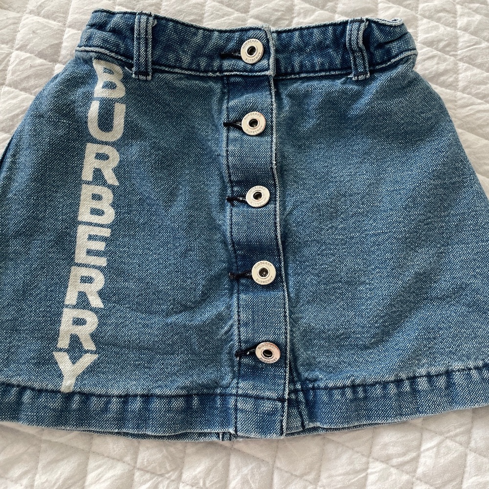 Burberry skirt